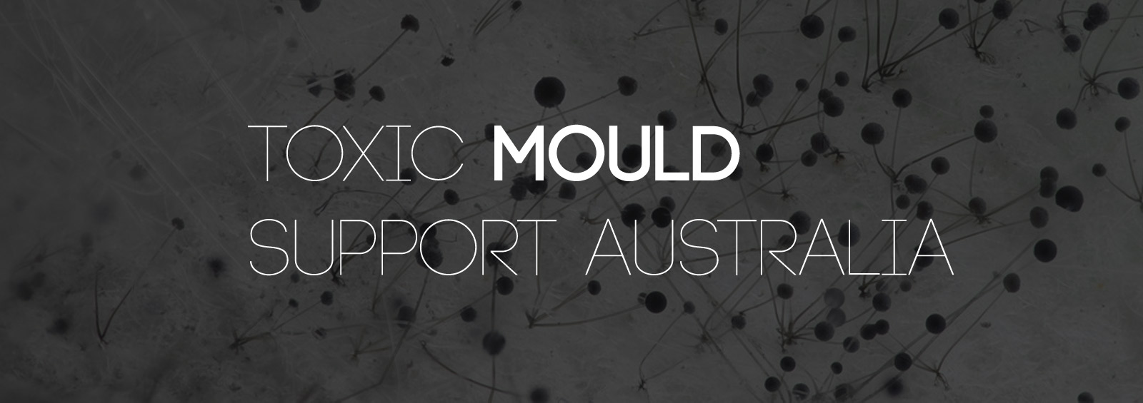 Toxic Mould Support Australia