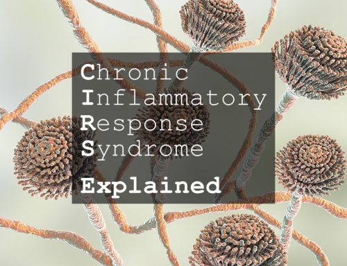 Chronic Inflammatory Response Syndrome (CIRS) Explained