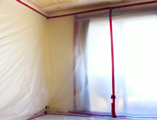 Mould in the Home 101 – Preventing, Removing and Remediating